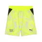 Preview: Schweiz Torwart WM Shorts Gelb - 2026